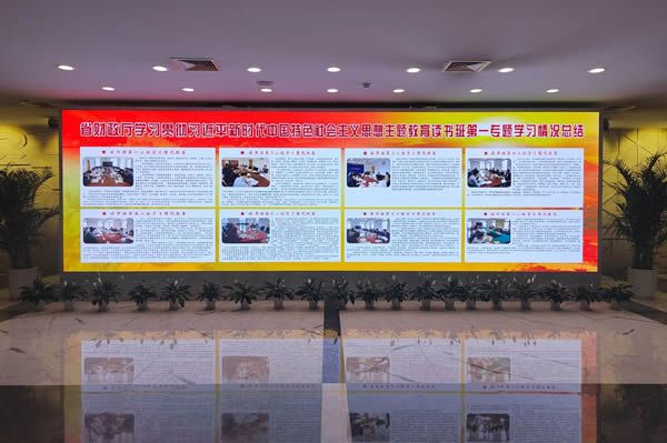 國(guó)內(nèi)有哪些COB顯示屏廠家做得比較好的？