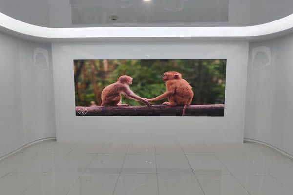 LED顯示屏的特點與行業(yè)應用優(yōu)勢分析